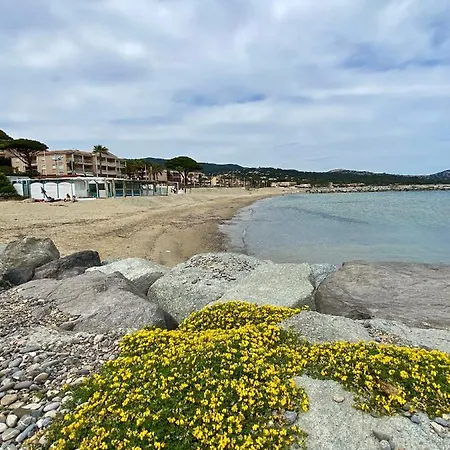 150 M De Golfe De Saint-tropez